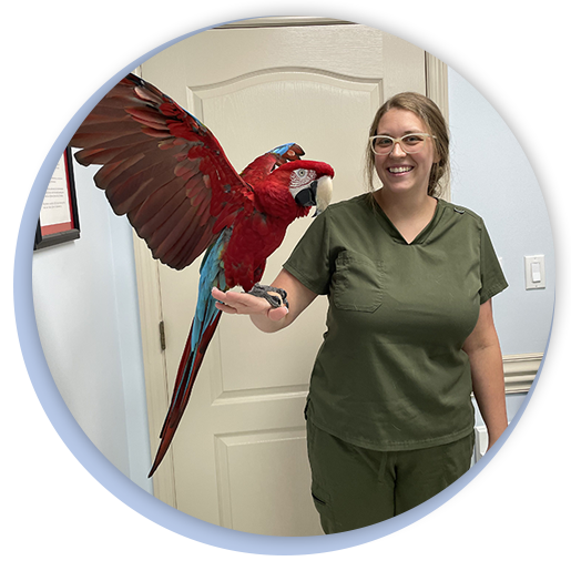 Veterinarian in Lake City Veterinarian in Live Oak Vet Near Me